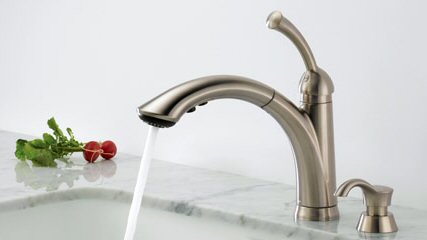 Delta kitchen sink faucet